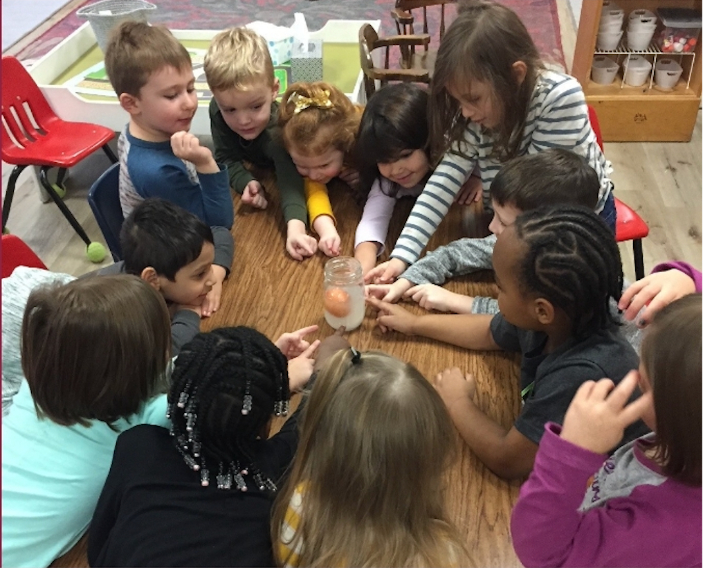see%20st%20paul image Students at St. Paul Lutheran School